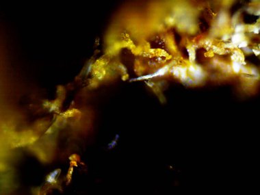 Mor limon fotoğraflı kenevir