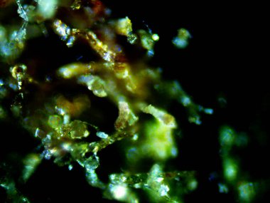 Mor limon fotoğraflı kenevir