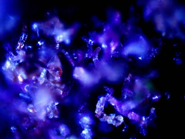 Mor limon fotoğraflı kenevir