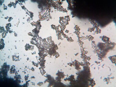 Çıkarılmış kristaller, ev yapımı fotoğraf.