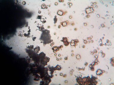 Çıkarılmış kristaller, ev yapımı fotoğraf.