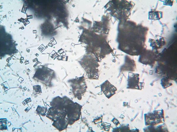 Geëxtraheerde Kristallen Zelfgemaakte Foto — Stockfoto