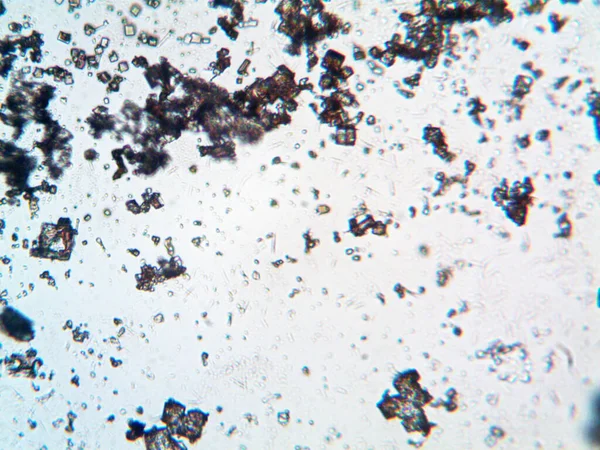 Çıkarılmış kristaller, ev yapımı fotoğraf.