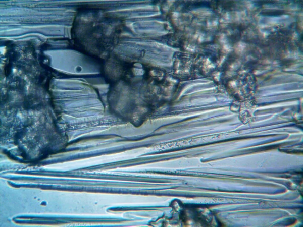 Extracted Crystals Home Made Photo — Stock Photo, Image