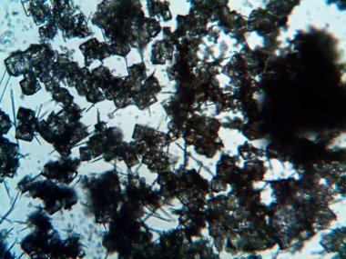 Çıkarılmış kristaller, ev yapımı fotoğraf.