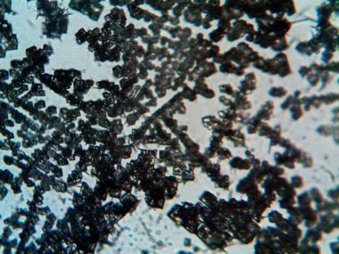 Çıkarılmış kristaller, ev yapımı fotoğraf.