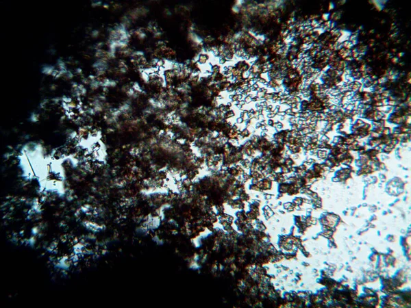 Çıkarılmış kristaller, ev yapımı fotoğraf.