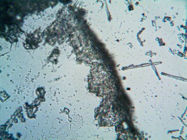 Çıkarılmış kristaller, ev yapımı fotoğraf.