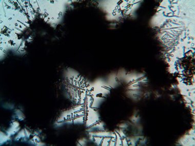 Çıkarılmış kristaller, ev yapımı fotoğraf.