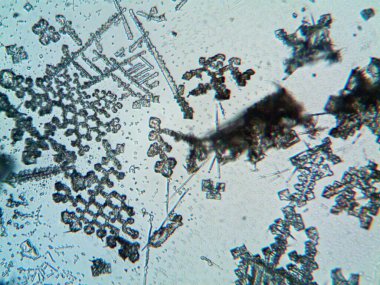 Çıkarılmış kristaller, ev yapımı fotoğraf.