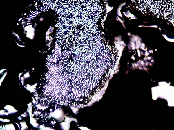 Mikroskop Lavenhuk Yapımı Kristallerin Fotoğrafı — Stok fotoğraf