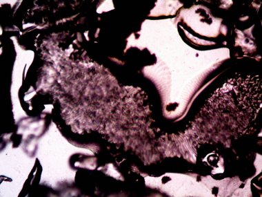 Mikroskop lavenhuk, ev yapımı kristallerin fotoğrafı.