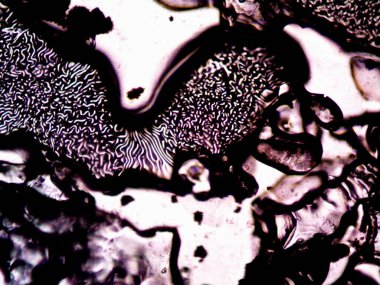 Mikroskop lavenhuk, ev yapımı kristallerin fotoğrafı.