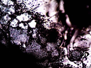 Mikroskop lavenhuk, ev yapımı kristallerin fotoğrafı.