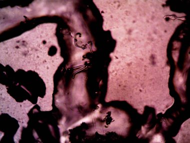 Mikroskop lavenhuk, ev yapımı kristallerin fotoğrafı.