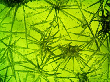 Mikroskop lavenhuk, ev yapımı kristallerin fotoğrafı.