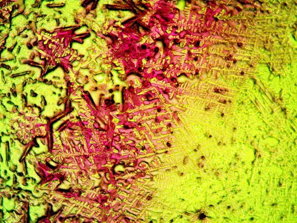 Microsscope Lavenhuk Фото Самодельных Кристаллов — стоковое фото