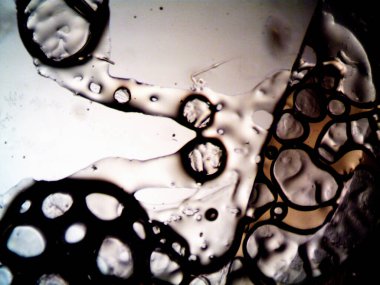 Mikroskop tarafından yapılmış kenevir thc cbd fotoğrafı