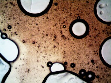 Mikroskop tarafından yapılmış kenevir thc cbd fotoğrafı