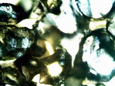 Mikroskop tarafından yapılmış kenevir thc cbd fotoğrafı