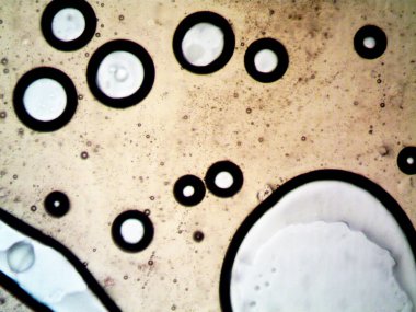 Mikroskop tarafından yapılmış kenevir thc cbd fotoğrafı