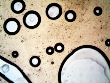 Mikroskop tarafından yapılmış kenevir thc cbd fotoğrafı