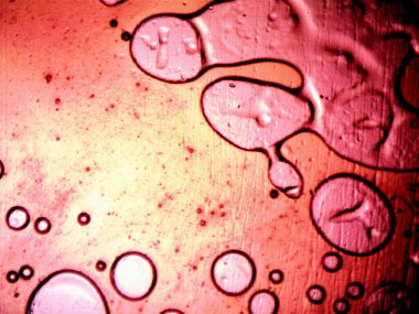 Mikroskop tarafından yapılmış kenevir thc cbd fotoğrafı