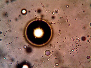 Mikroskop tarafından yapılmış kenevir thc cbd fotoğrafı