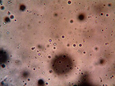 Mikroskop tarafından yapılmış kenevir thc cbd fotoğrafı