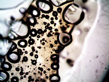 Mikroskop tarafından yapılmış kenevir thc cbd fotoğrafı