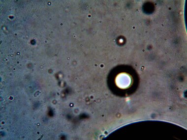 Mikroskop tarafından yapılmış kenevir thc cbd fotoğrafı