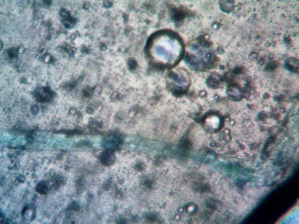 Cannabis Thc Cbd Foto Feita Por Microscópio — Fotografia de Stock