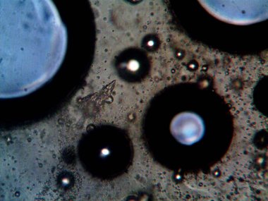 Mikroskop tarafından yapılmış kenevir thc cbd fotoğrafı