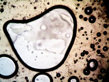 Mikroskop tarafından yapılmış kenevir thc cbd fotoğrafı