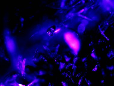 Mikroskop tarafından yapılmış kenevir thc cbd fotoğrafı