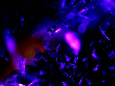 Mikroskop tarafından yapılmış kenevir thc cbd fotoğrafı