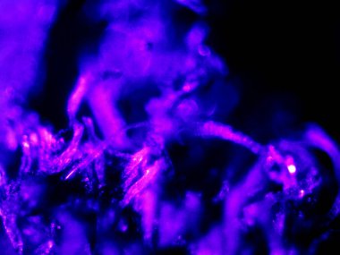 Mikroskop tarafından yapılmış kenevir thc cbd fotoğrafı