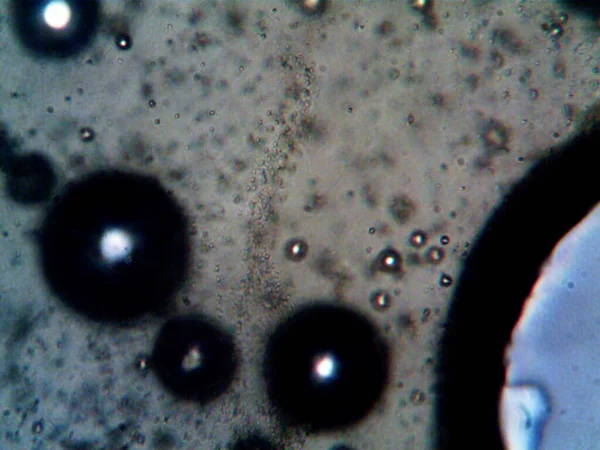 Cannabis Thc Cbd Photo Made Microscope — 스톡 사진