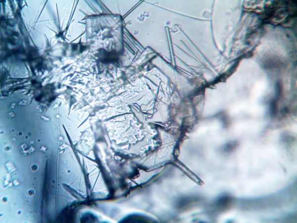 Μικροσκόπιο Lavenhuk Φωτογραφία Από Σπιτικά Κρύσταλλα — Φωτογραφία Αρχείου