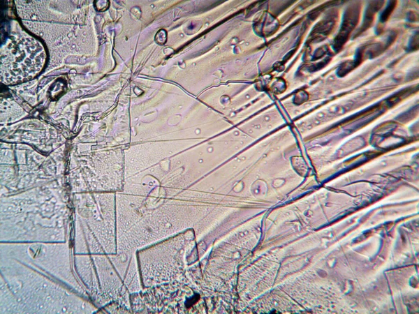 Μικροσκόπιο Lavenhuk Φωτογραφία Από Σπιτικά Κρύσταλλα — Φωτογραφία Αρχείου