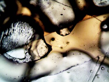 Mikroskop tarafından yapılmış kenevir thc cbd fotoğrafı