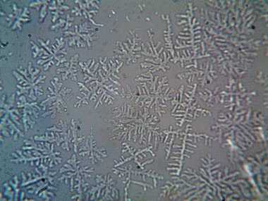 Evden çıkarılan mikro kristaller