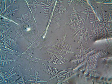 Evden çıkarılan mikro kristaller