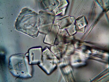 Evden çıkarılan mikro kristaller