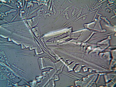 Evden çıkarılan mikro kristaller