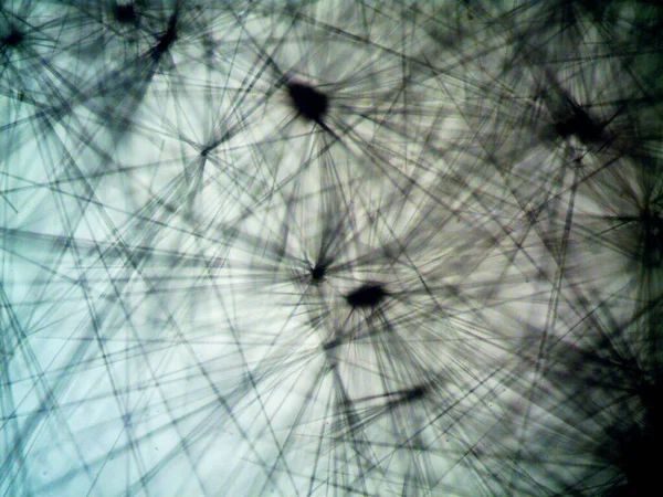 Микрокристаллы Извлеченные Домашних Условиях — стоковое фото