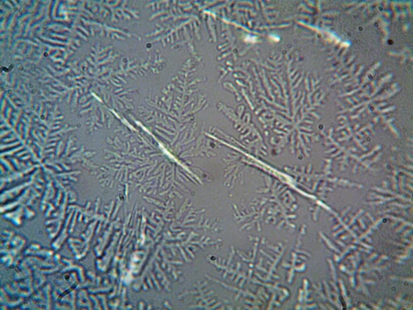 micro crystals extracted at home