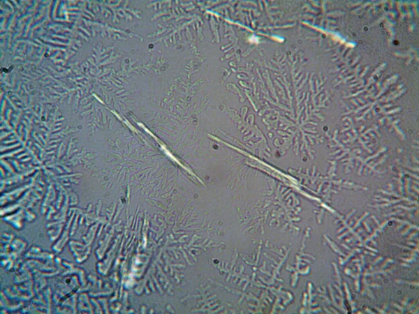 Mikrokrystaly Extrahované Doma — Stock fotografie