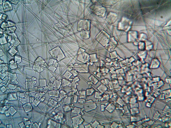 家で採取されたマイクロ結晶は — ストック写真