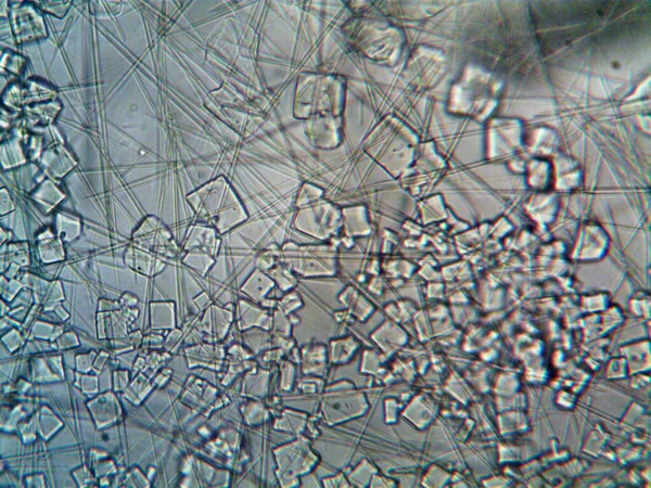 Микрокристаллы Извлеченные Домашних Условиях — стоковое фото